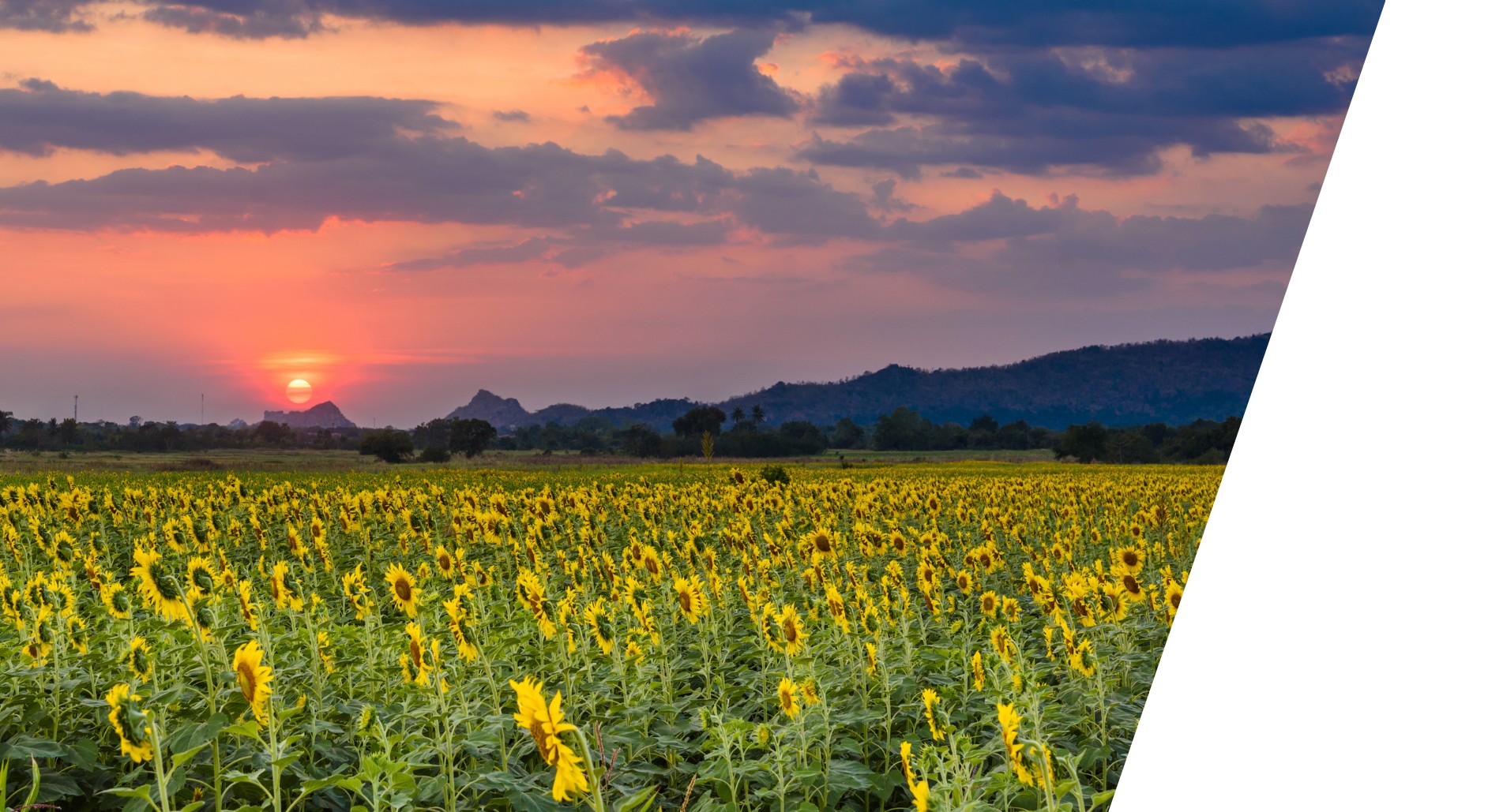 mudgeeraba locksmith gold coast services